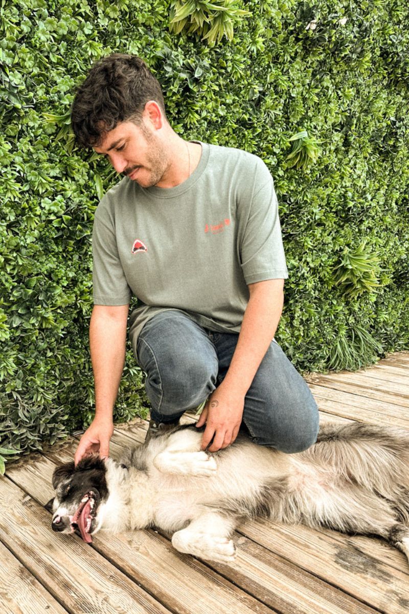 Camiseta Warning Gris